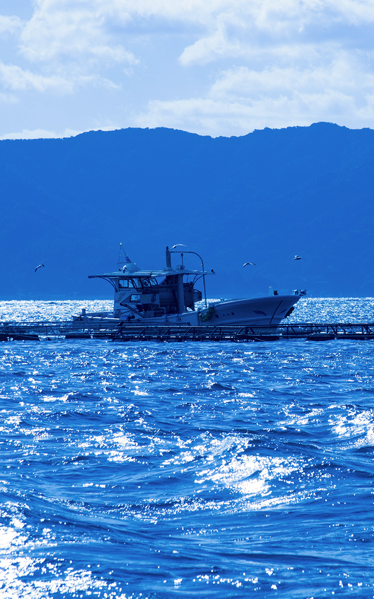 大分みらい水産